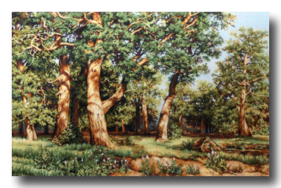 bosco piccolo punto