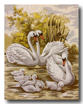 cigni con piccoli mezzo punto