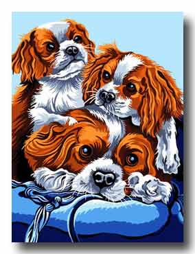cani mezzo punto